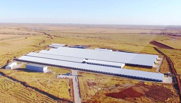 ng电子游戏·(中国区)官方网站