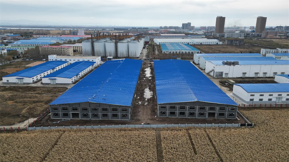 ng电子游戏·(中国区)官方网站