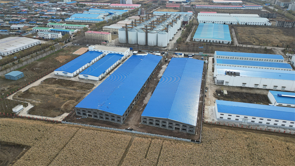 20250222165348_58831